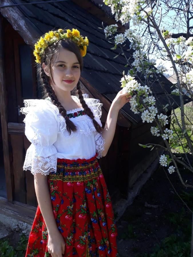 Pensiunea Maria ซิกเกตู มาร์มาซีเอ ภายนอก รูปภาพ